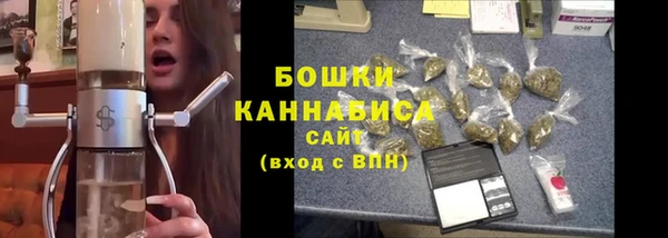 индика Наволоки