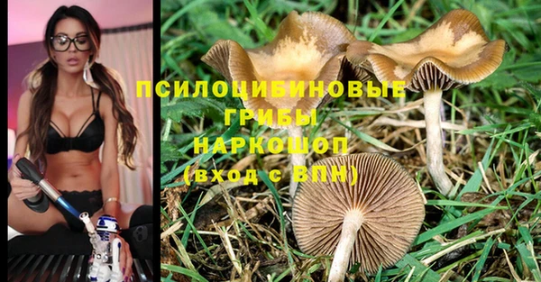 ешки Надым